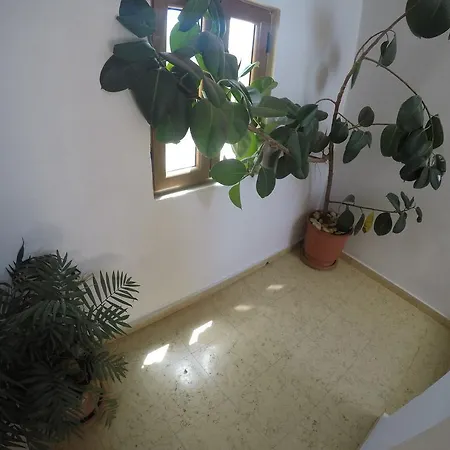 Vila Pollo Apartment *