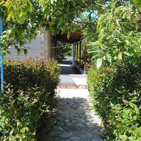 Vila Pollo